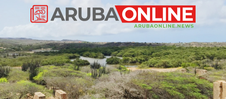 When do you need the Aruba Health App?