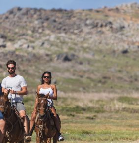 Ponderosa_Activities_Horseback_riding_tours_