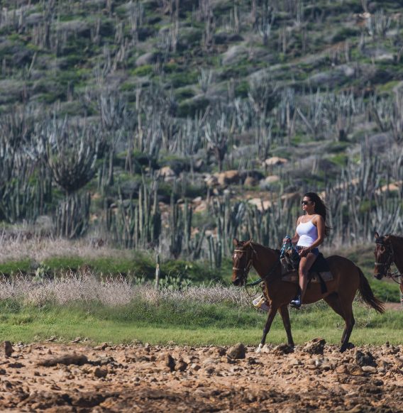 Ponderosa_Activities_Horseback_riding_tours_aruba_hills