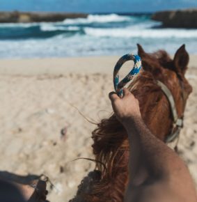 Ponderosa_Activities_Horseback_riding_tours_beach_ocean