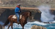 Ponderosa_Activities_Horseback_riding_tours_noord_coast