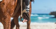 Ponderosa_Activities_Horseback_riding_tours_stirrup