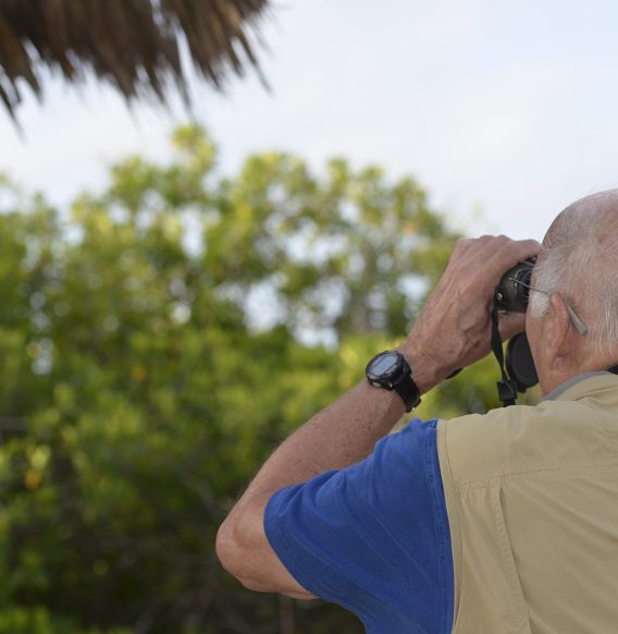 bird_watching_birding_tour_aruba_eco_tours