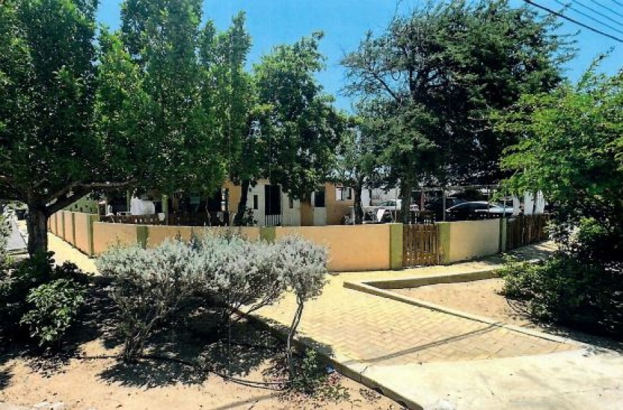 Auction at Johnson Notary!