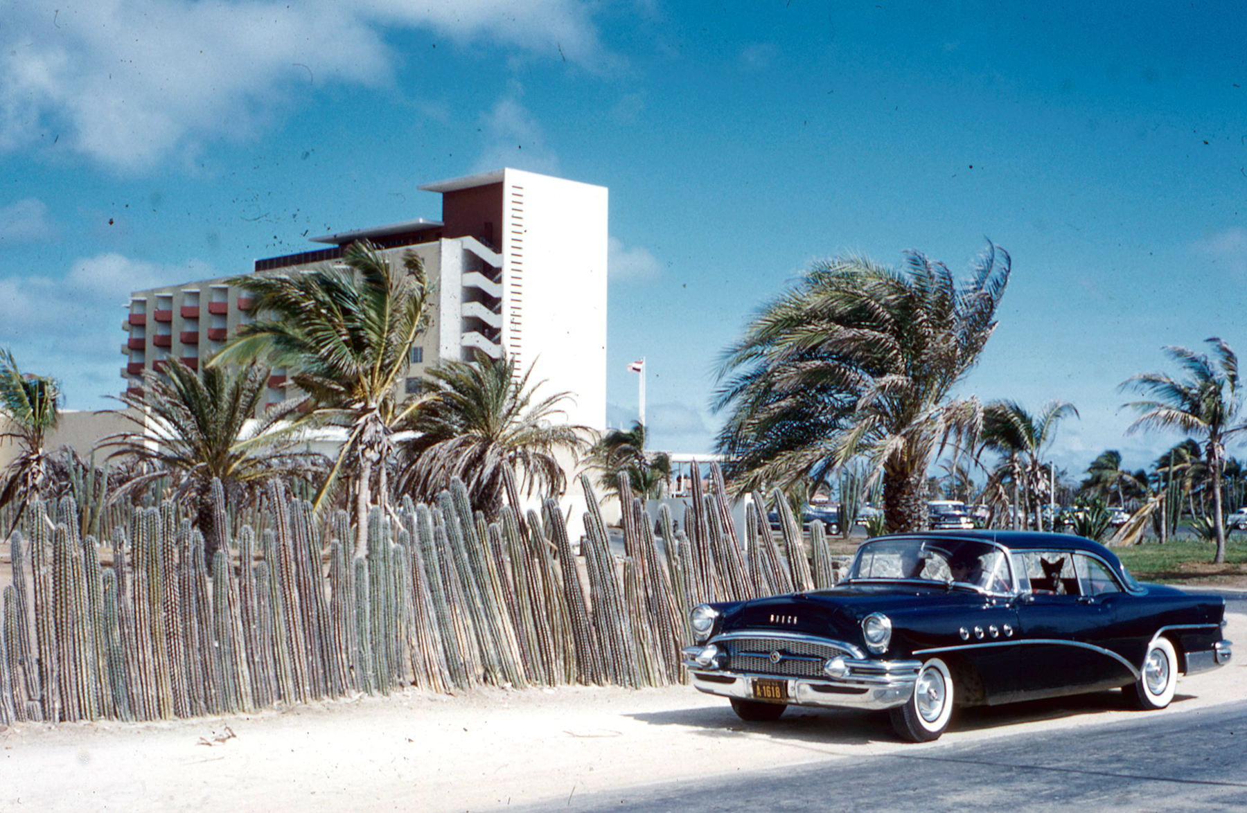 Hilton Caribbean View