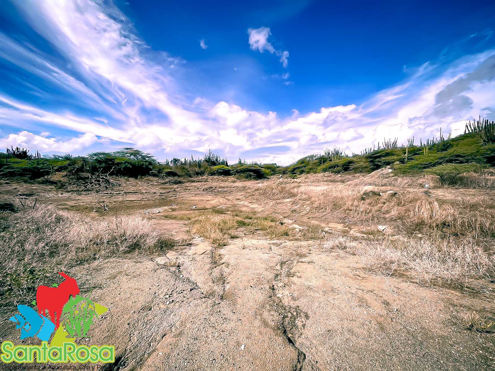 Dried-up dam in Noord, reflecting Aruba's water shortage.