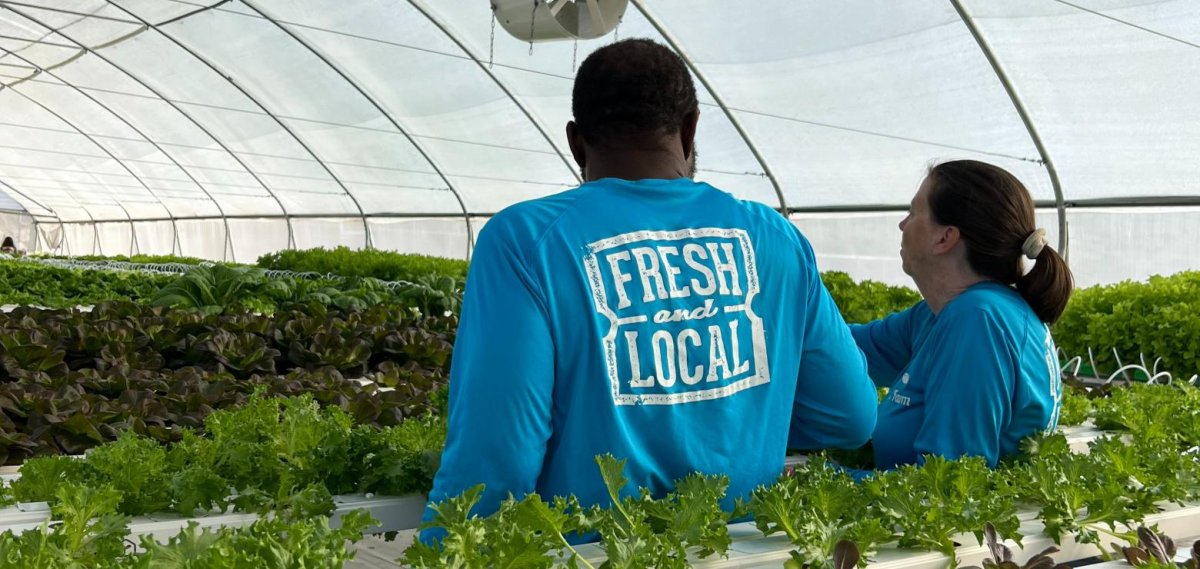 Agri Fund Aruba offers low-interest loans