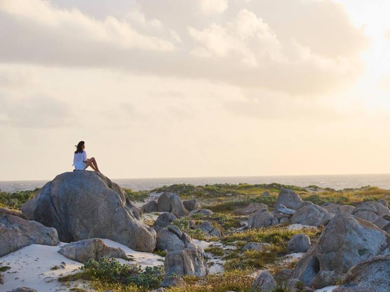 Aruba: Your Wellness Destination