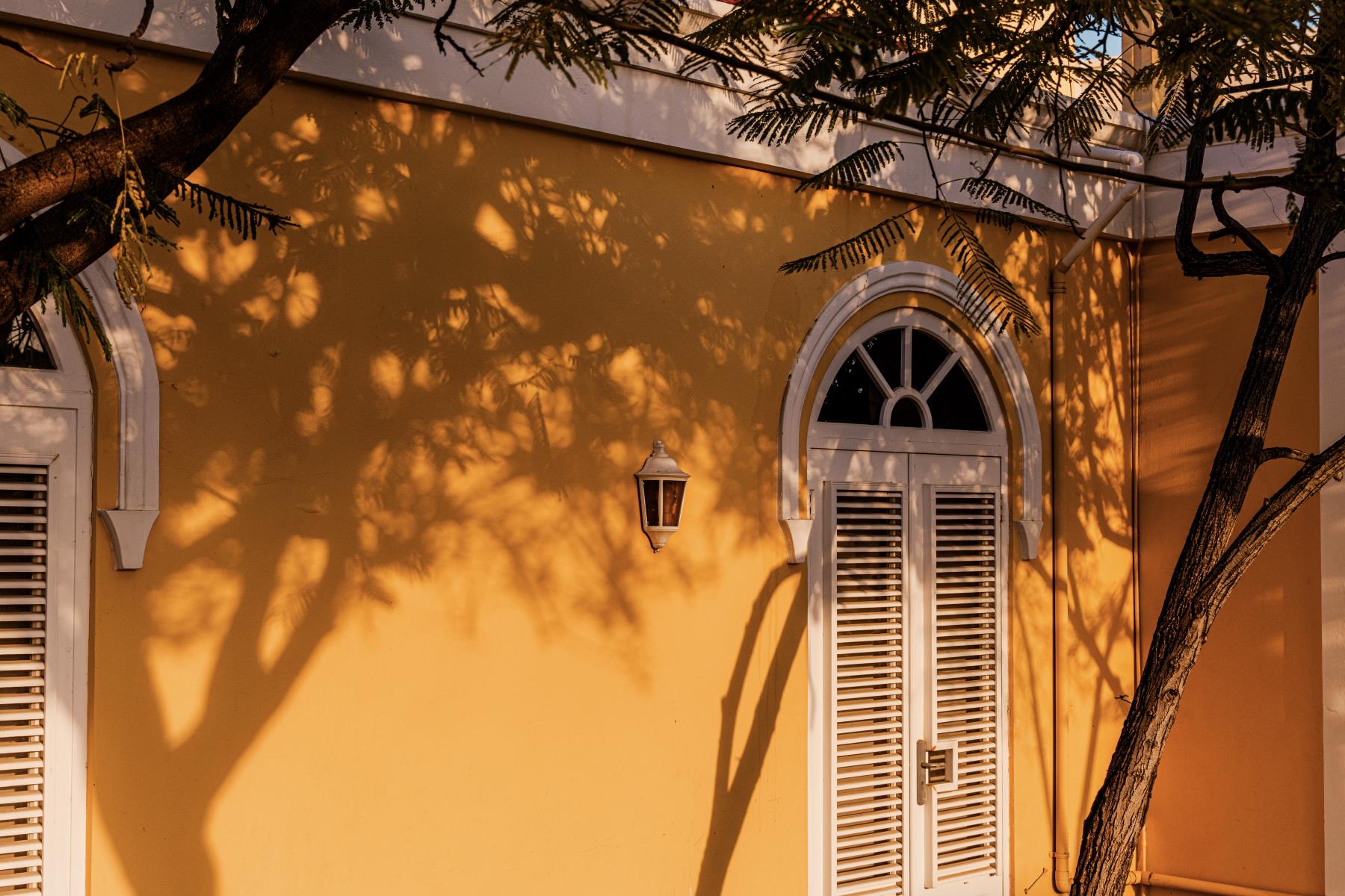 Overview of the economic impact of tourism in Aruba for July 2024