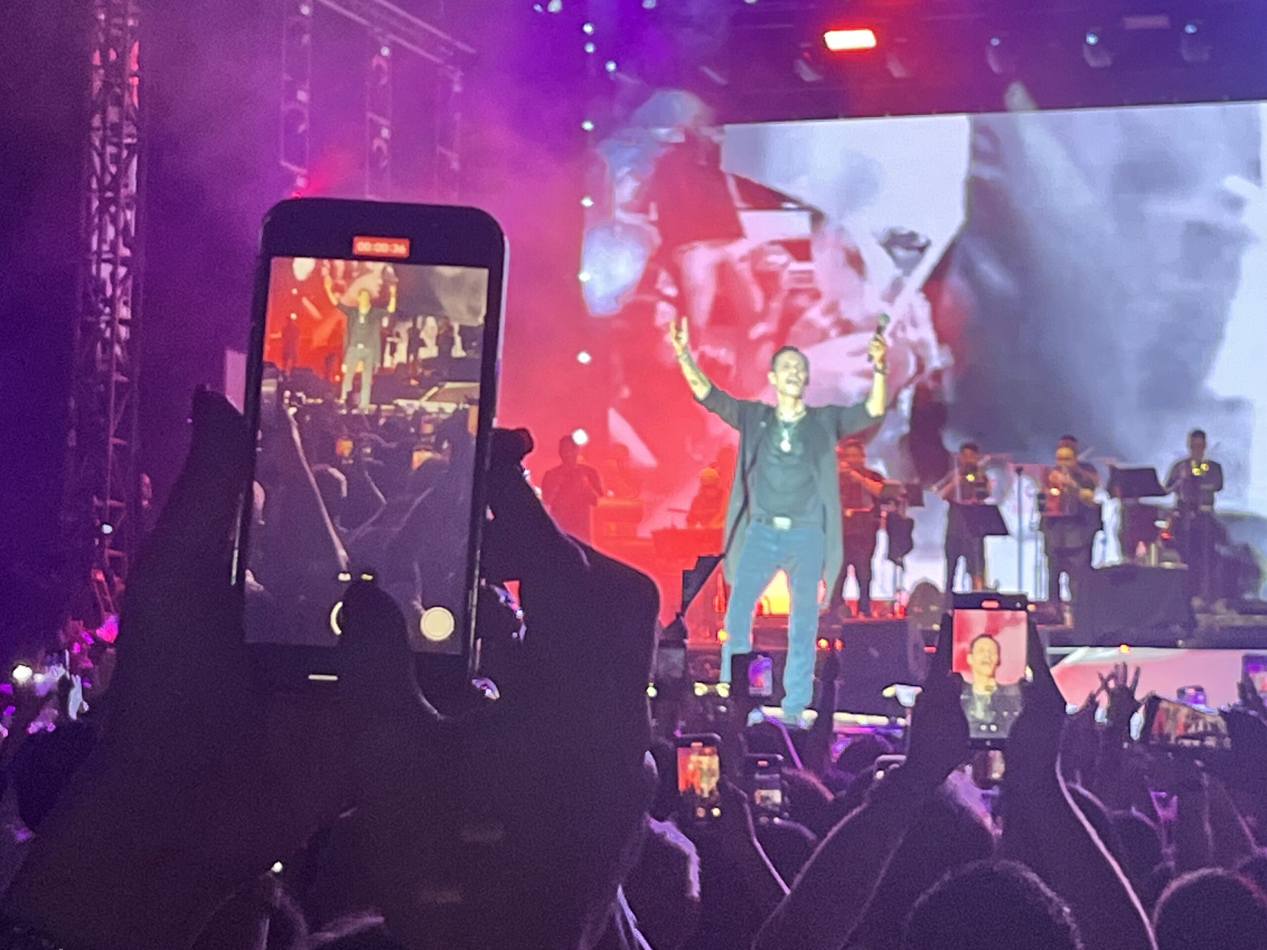 Marc Anthony performing live at the Noord Sea Jazz Festival, Caribbean musical experience