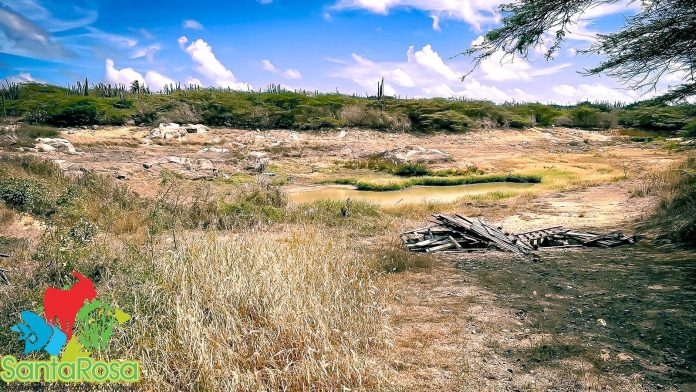 Sushi waste found in local reservoir in Aruba