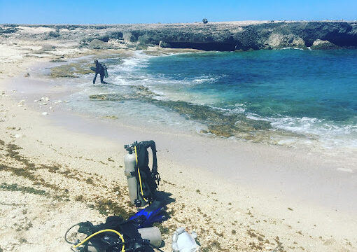 {“DeviceAngle”:-0.02049620635807514}