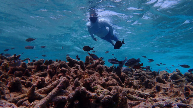 Aruba Outdoor Adventures 1