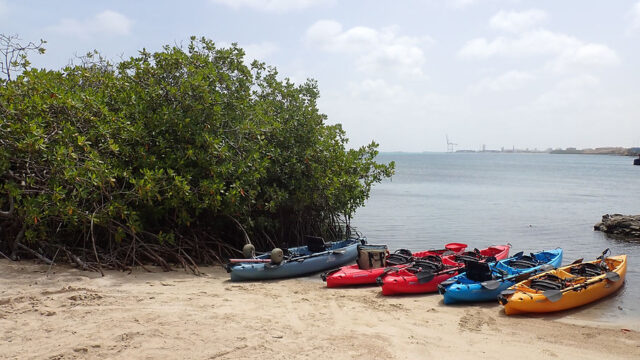 Aruba Outdoor Adventures 11