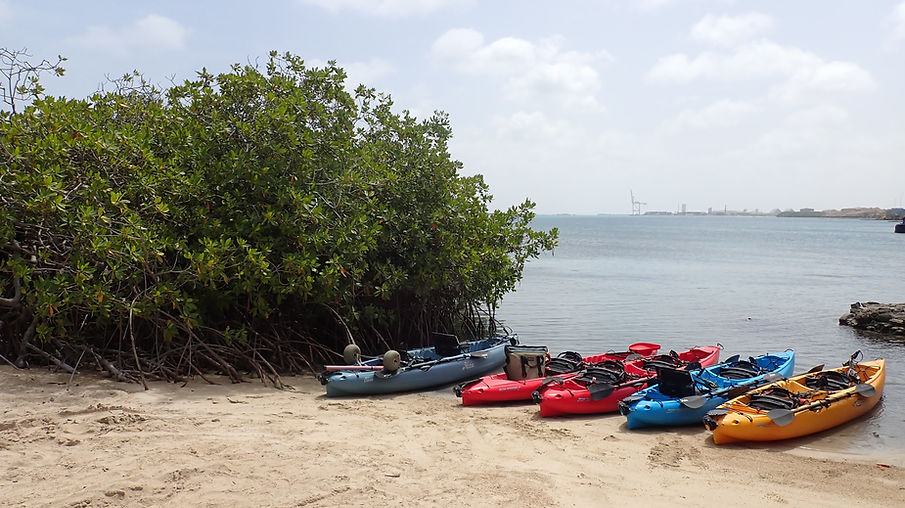 Aruba Outdoor Adventures 11