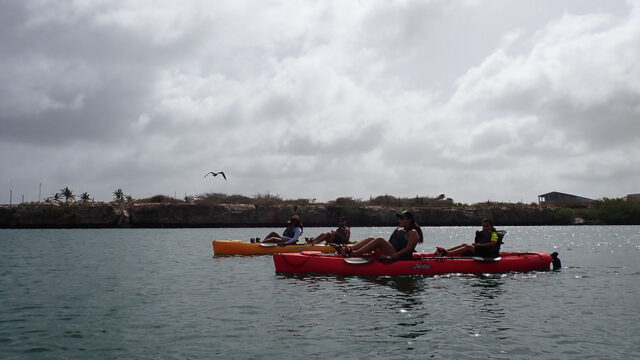 Aruba Outdoor Adventures 12