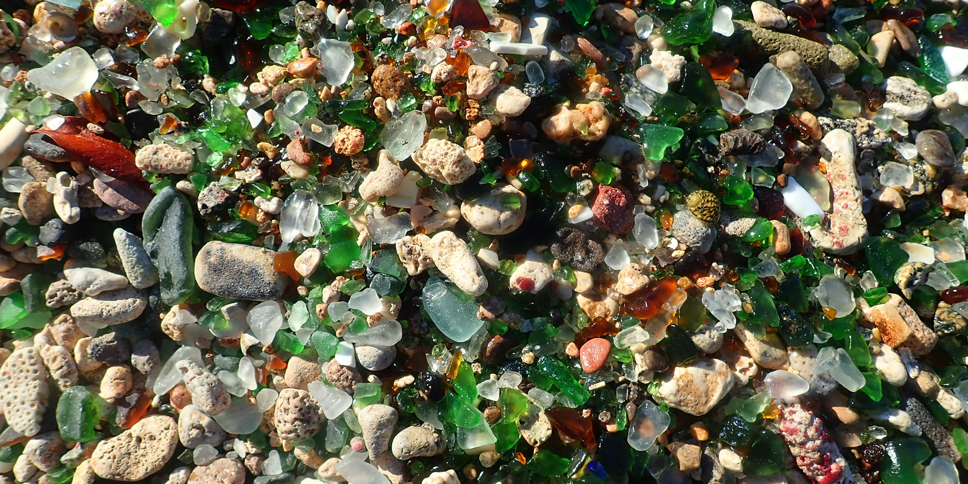 Aruba Outdoor Adventures 16