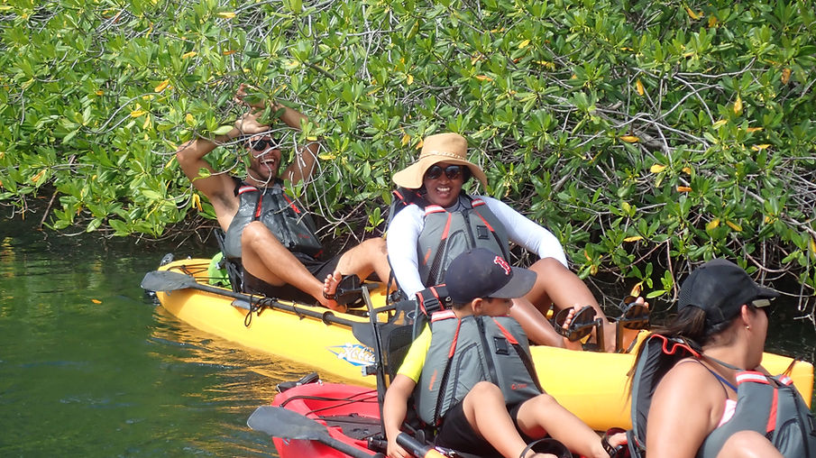 Aruba Outdoor Adventures 17