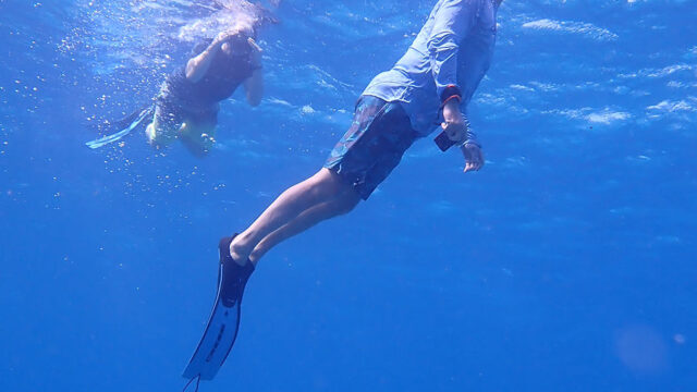 Aruba Outdoor Adventures 19