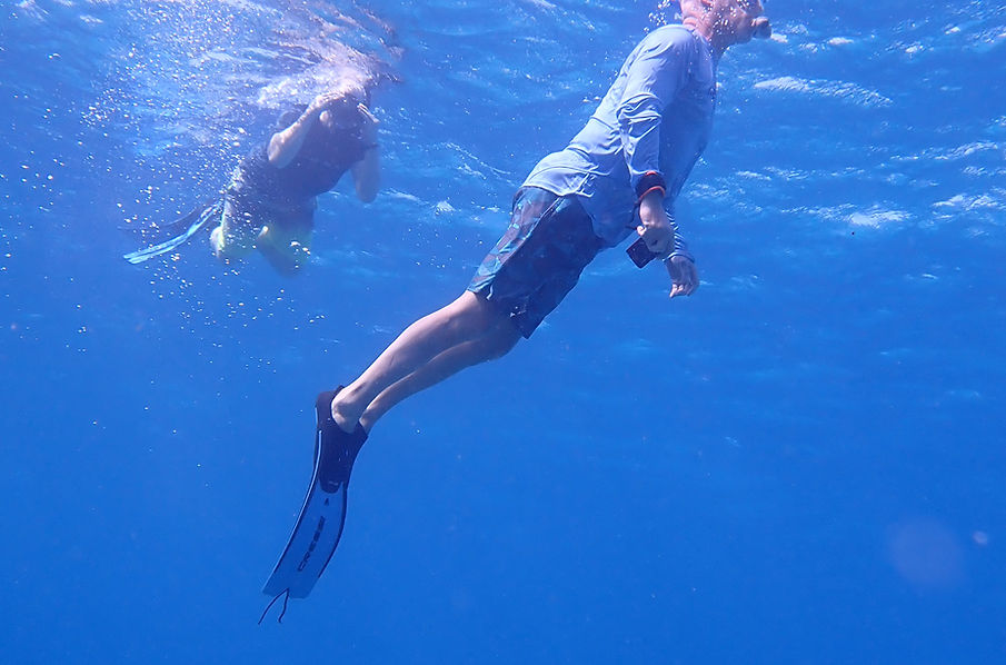 Aruba Outdoor Adventures 19