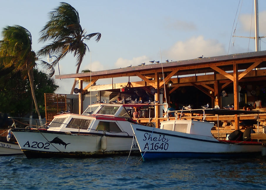 Aruba Outdoor Adventures (2)