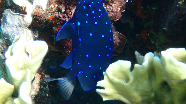 Aruba Outdoor Adventures 28