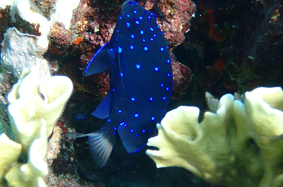 Aruba Outdoor Adventures 28