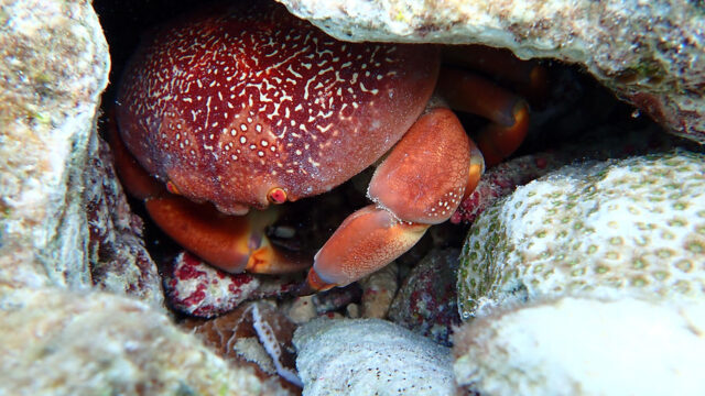 Aruba Outdoor Adventures 30