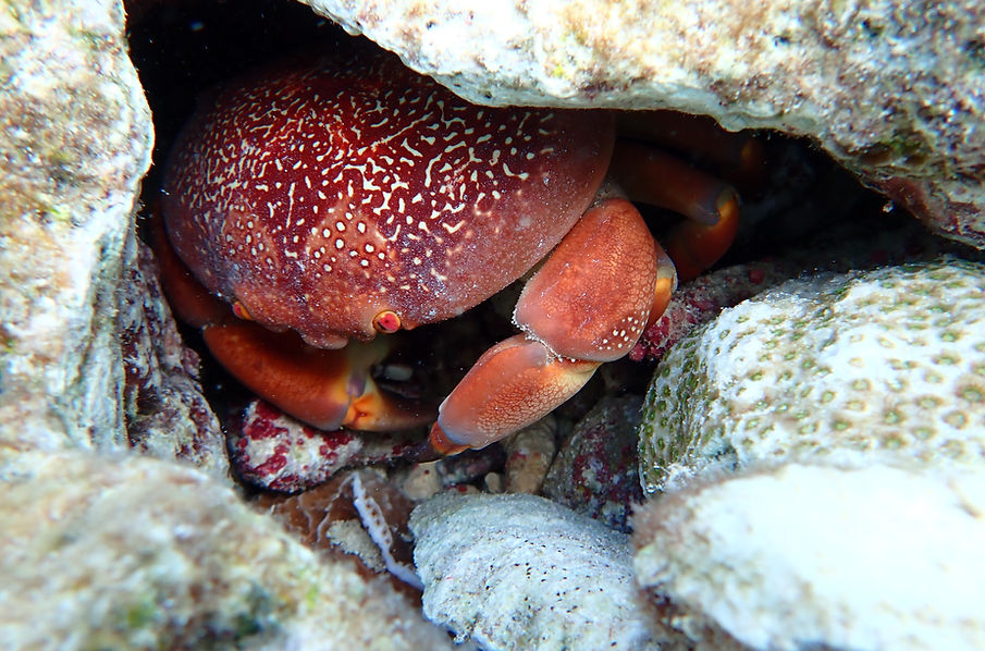 Aruba Outdoor Adventures 30