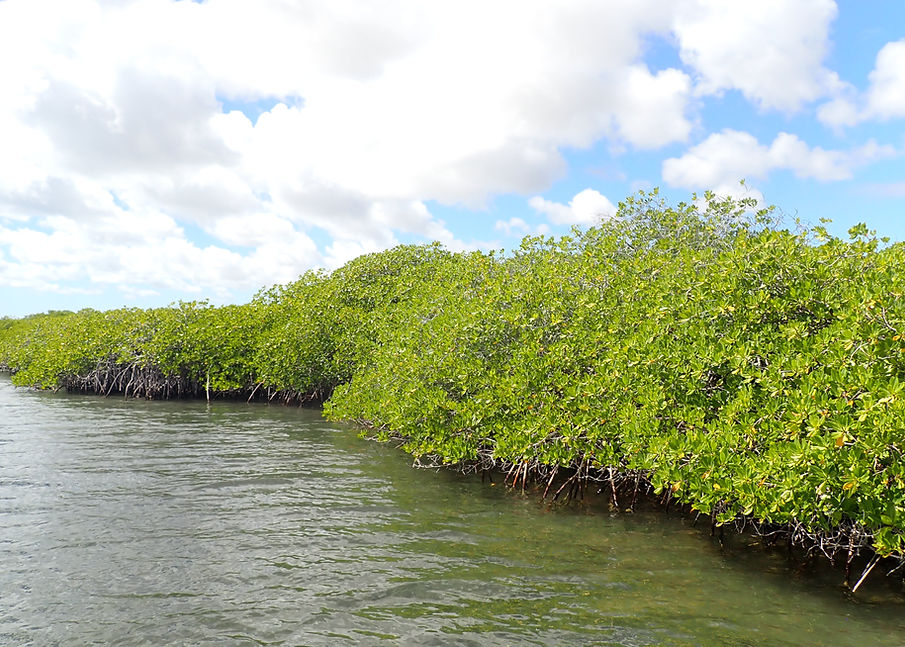 Aruba Outdoor Adventures 35