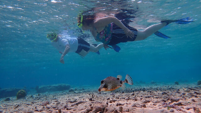 Aruba Outdoor Adventures 36