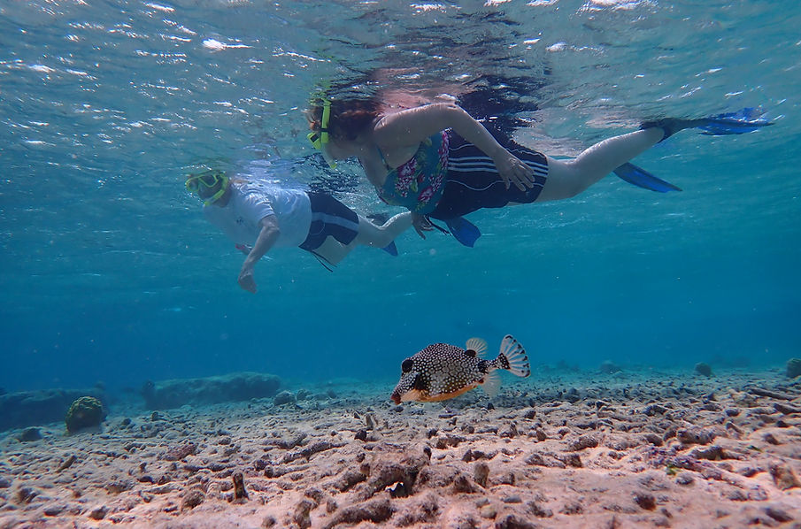 Aruba Outdoor Adventures 36