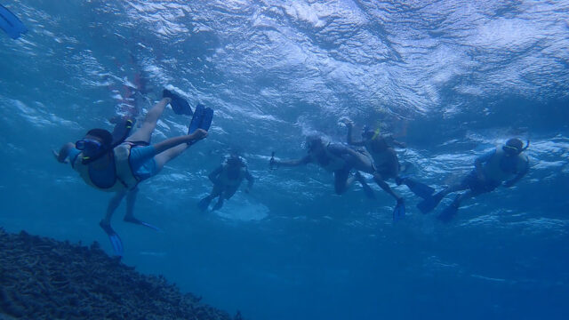 Aruba Outdoor Adventures 39