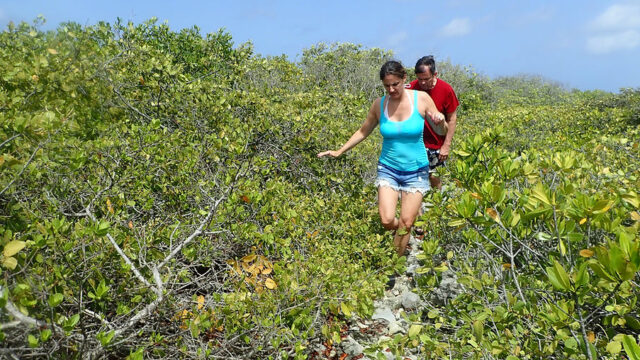 Aruba Outdoor Adventures 4