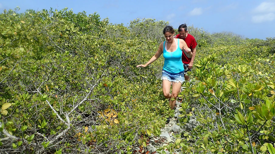 Aruba Outdoor Adventures 4