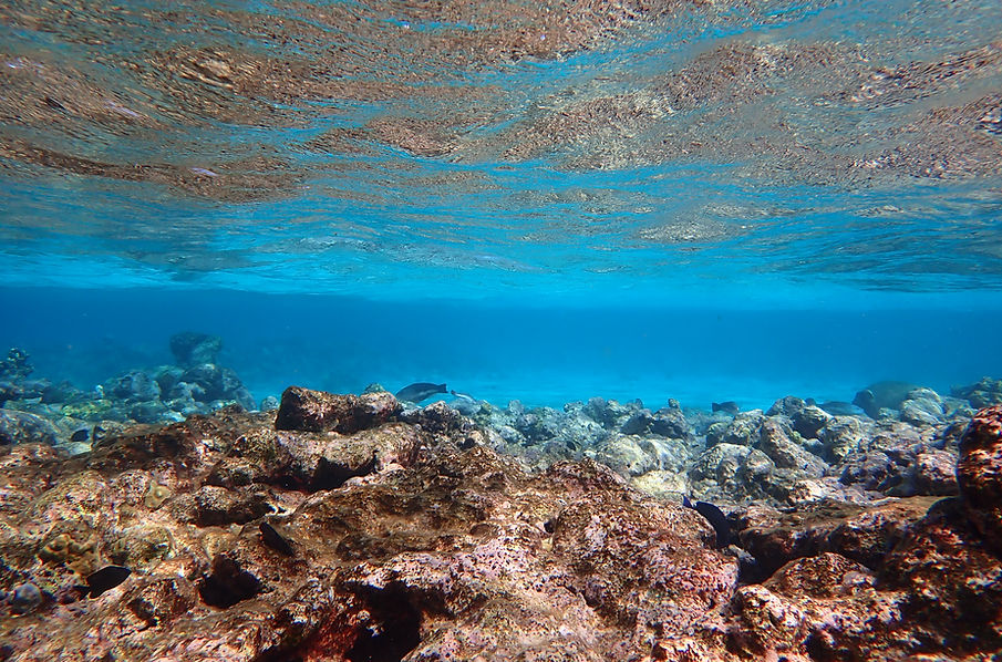 Aruba Outdoor Adventures 42