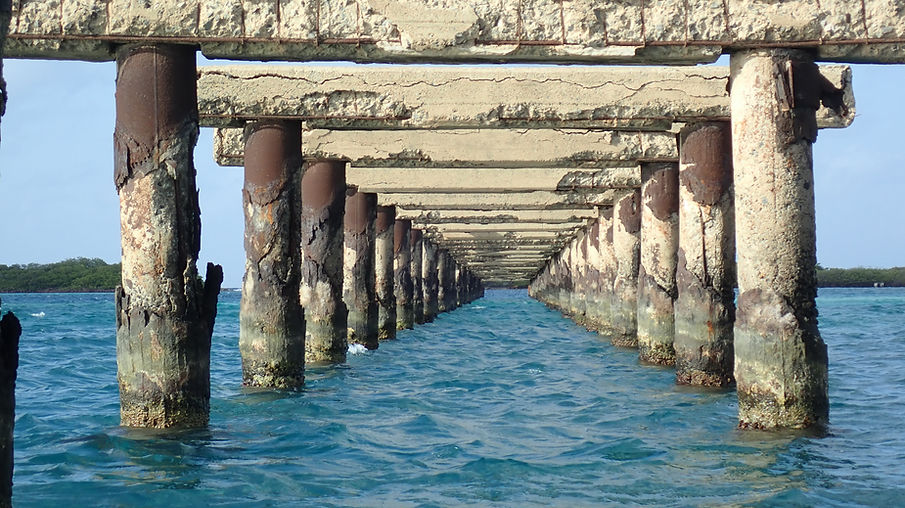 Aruba Outdoor Adventures 46