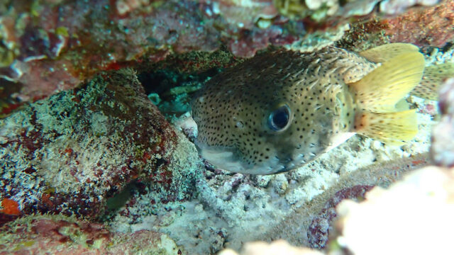 Aruba Outdoor Adventures 47