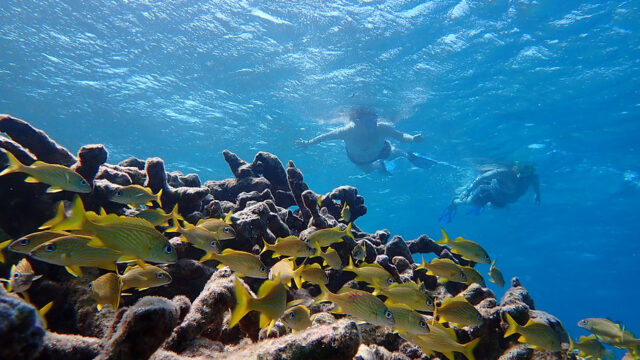 Aruba Outdoor Adventures 49