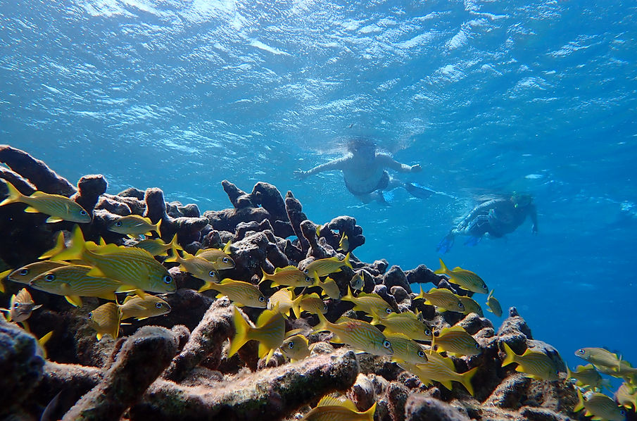 Aruba Outdoor Adventures 49