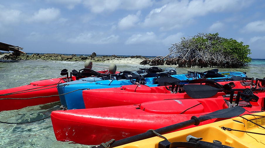 Aruba Outdoor Adventures 5