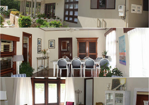 Aruba Palms Realtors view