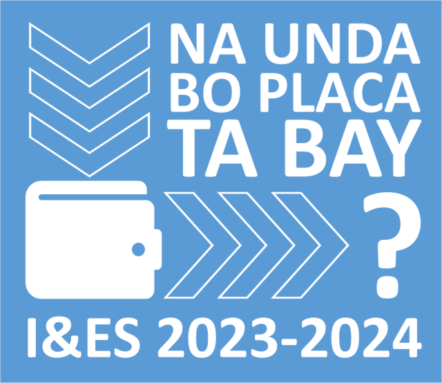 Data collection during the CBS Income and Expenditure Survey 2023-2024