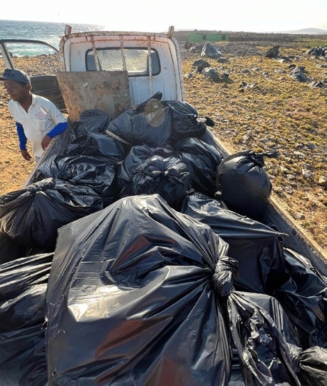 Collecting Trash on the Beach