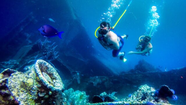 De Palm Tours Aruba underwater