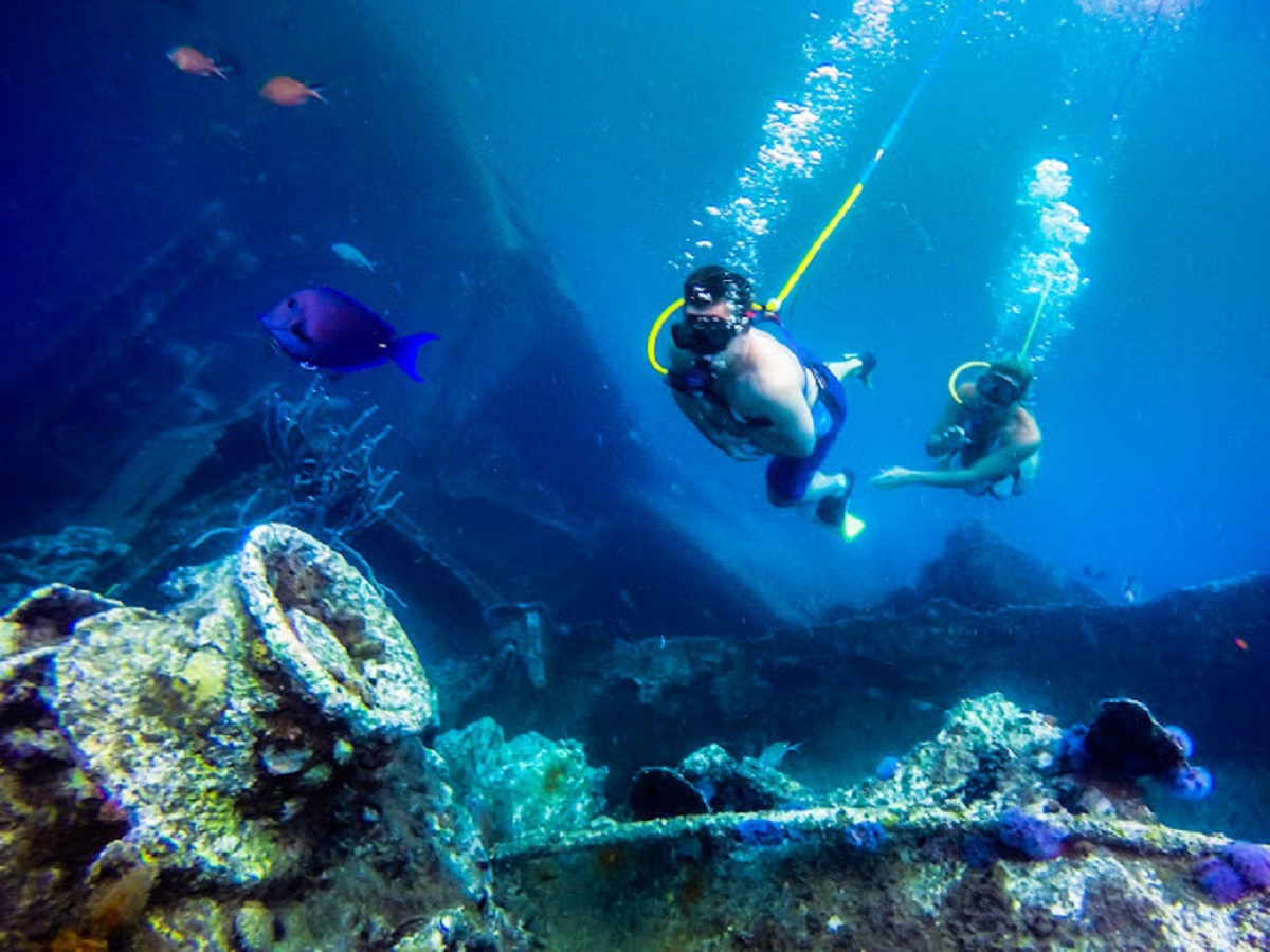 De Palm Tours Aruba underwater
