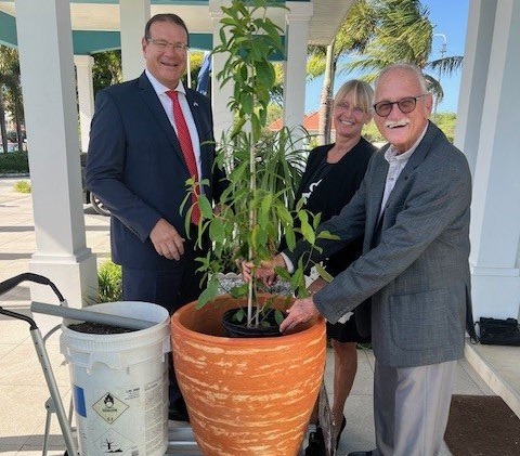 Governor Boekhoudt receives Mahawa tree