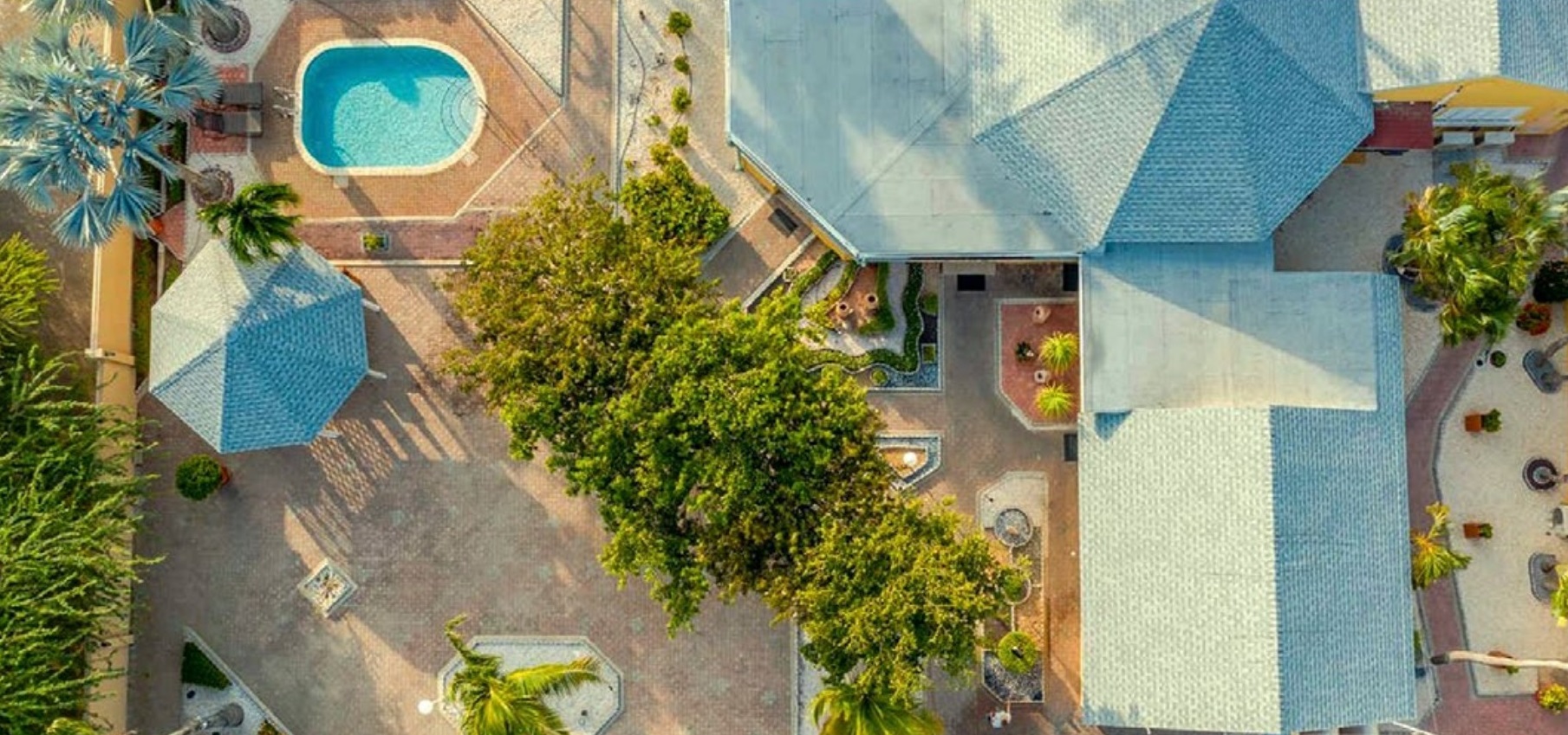 MVC Eagle Beach awarded in TripAdvisor 2024