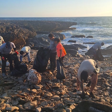 beach clean-up