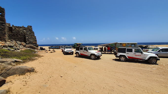 top drive car rental